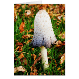 Autumn Mushroom