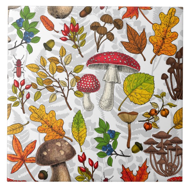 Autumn mushrooms, leaves, nuts and berries on whit ceramic tile (Front)