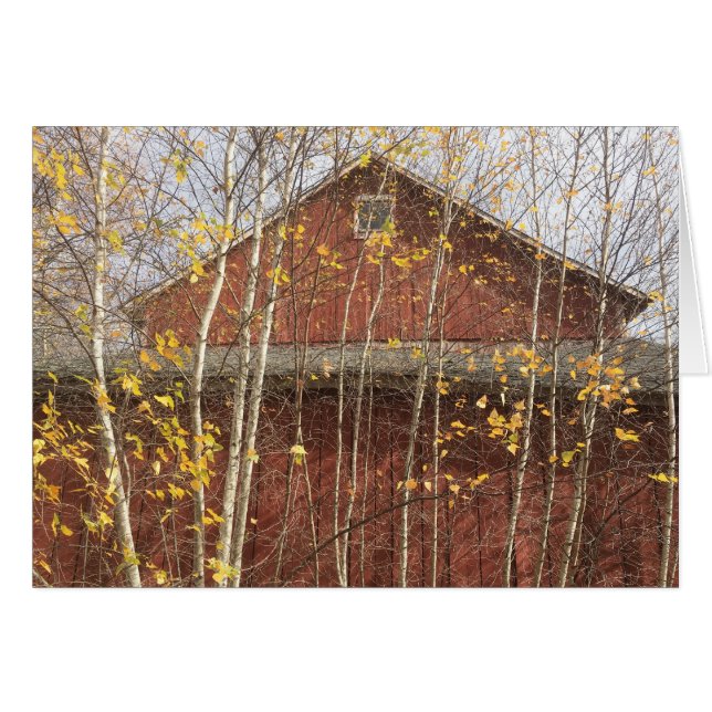 Autumn New England Barn (Front Horizontal)