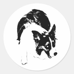 Autumn Night Pouncer Classic Round Sticker