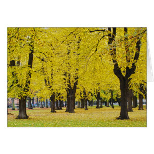 Autumn Note Card
