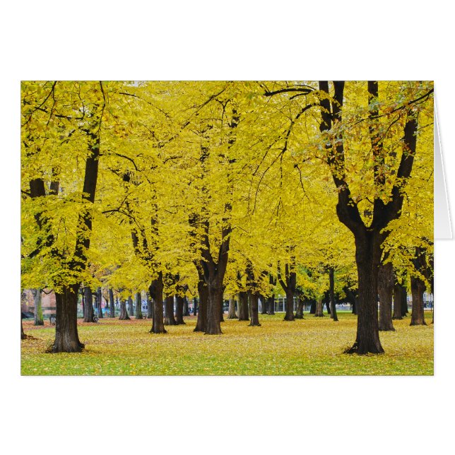Autumn Note Card (Front Horizontal)