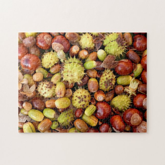 Autumn nuts and conkers jigsaw puzzle (Horizontal)