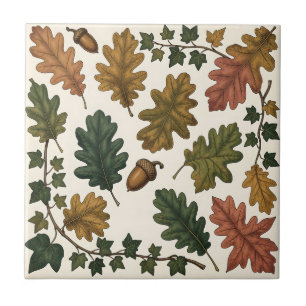 Autumn Oak Leaves Acorn Ivy Botanical Study Ceramic Tile