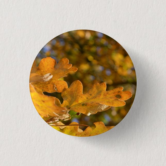 Autumn Oak Leaves Button / Badge (Front)