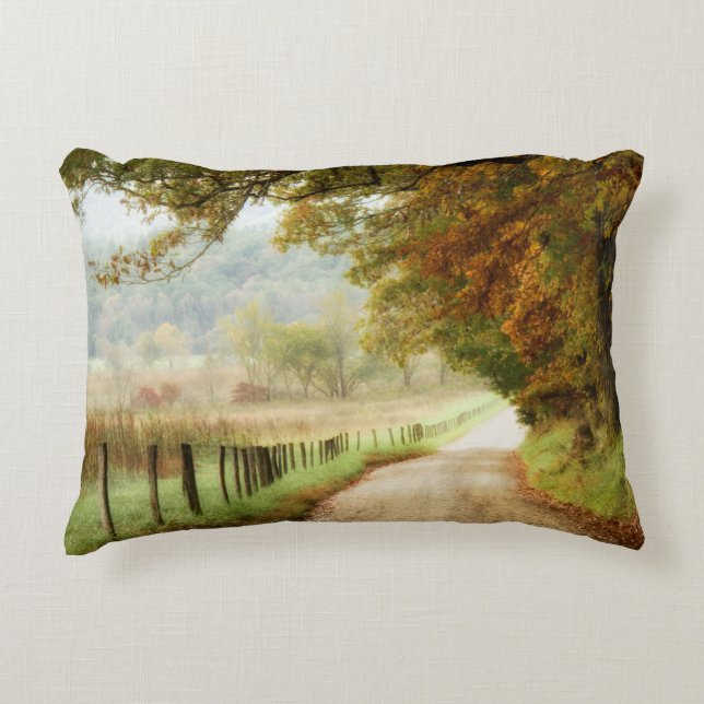 Autumn on a Country Road Decorative Cushion (Front)