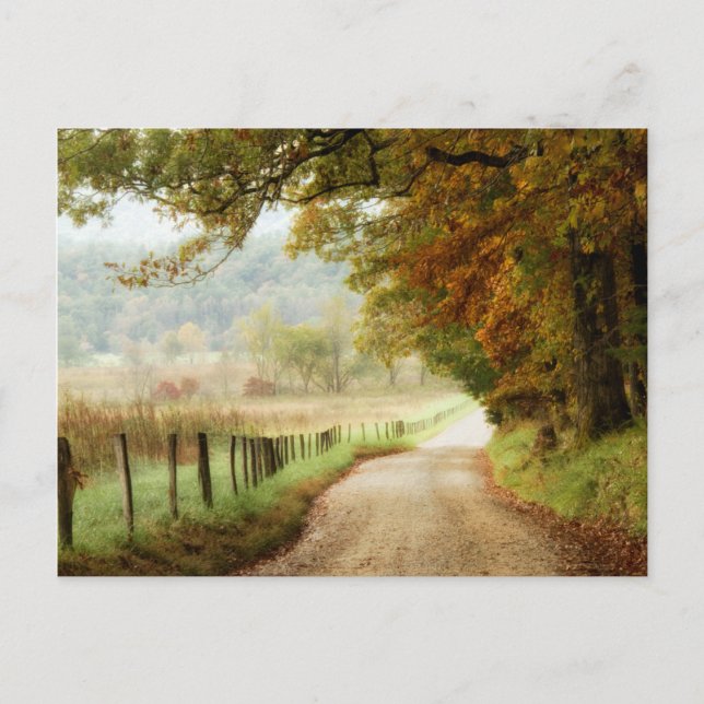 Autumn on a Country Road Postcard (Front)