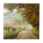 Autumn on a Country Road Tile<br><div class="desc">Home Décor</div>