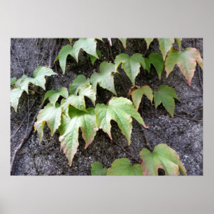 Autumn on a wall poster