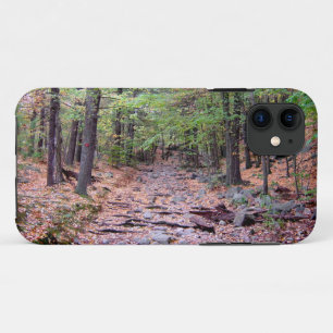 Autumn on Blue Hills Reservation Red Dot Trail iPhone 11 Case