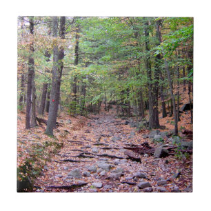 Autumn on Blue Hills Reservation Red Dot Trail Ceramic Tile