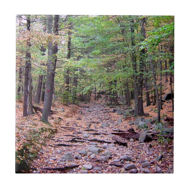 Autumn on Blue Hills Reservation Red Dot Trail Ceramic Tile (Front)