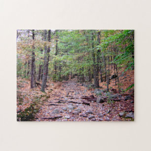 Autumn on Blue Hills Reservation Red Dot Trail Jigsaw Puzzle