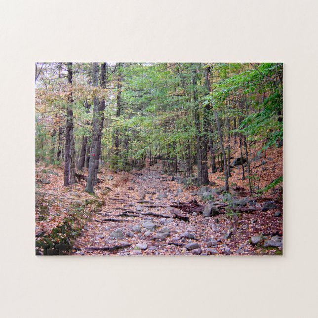 Autumn on Blue Hills Reservation Red Dot Trail Jigsaw Puzzle (Horizontal)
