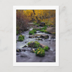 "Autumn On Mill Creek" Postcard
