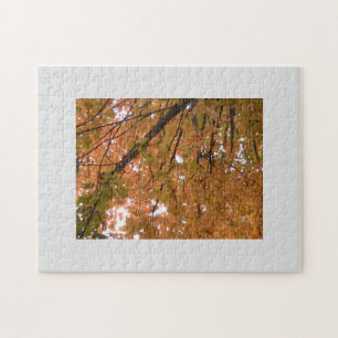 Autumn orange golden leaves jigsaw puzzle