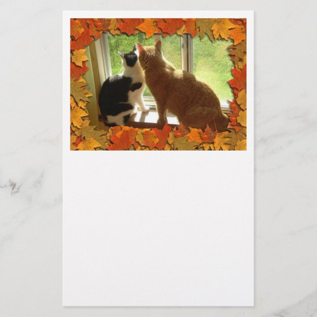 Autumn Orange Tabby Cats Stationery (Front)