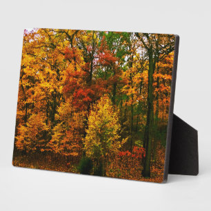 Autumn Orange Trees Plaque
