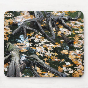 Autumn Otter Pond of Leaves Mouse Pad