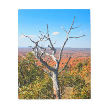 Autumn Overlook at Mount Bohemia