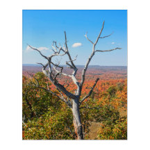 Autumn Overlook at Mount Bohemia