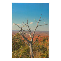 Autumn Overlook at Mount Bohemia