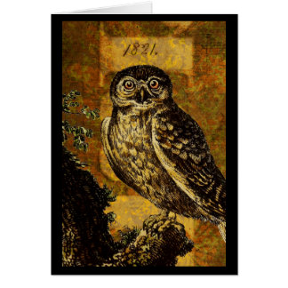 Autumn Owl