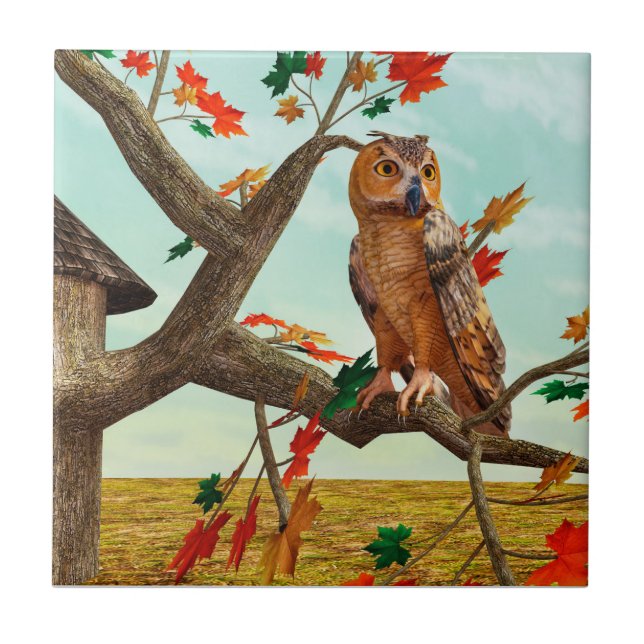 Autumn Owl Maple Tree Wildlife Art Ceramic Tile (Front)