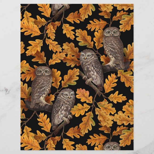 Autumn owls on black (Front)