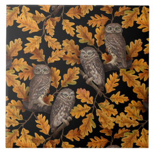Autumn owls on black ceramic tile