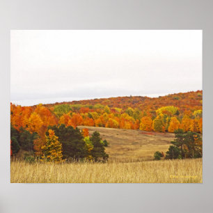 "AUTUMN PALETTE/MICHIGAN COUNTRYSIDE" POSTER