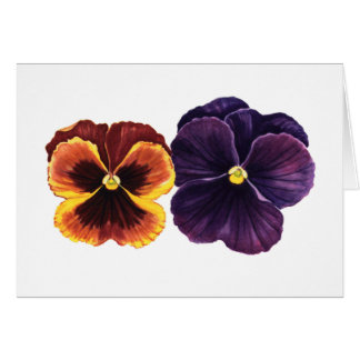 Autumn pansies