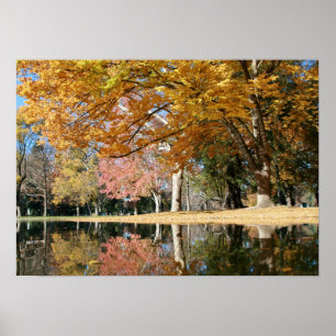 Autumn Park, Pond Poster