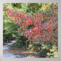 Autumn Park Poster