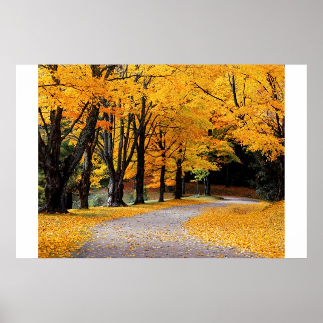 Autumn Pathway Poster (Front)