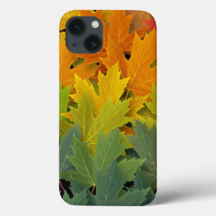 Autumn Pattern 2 iPhone 13 Case