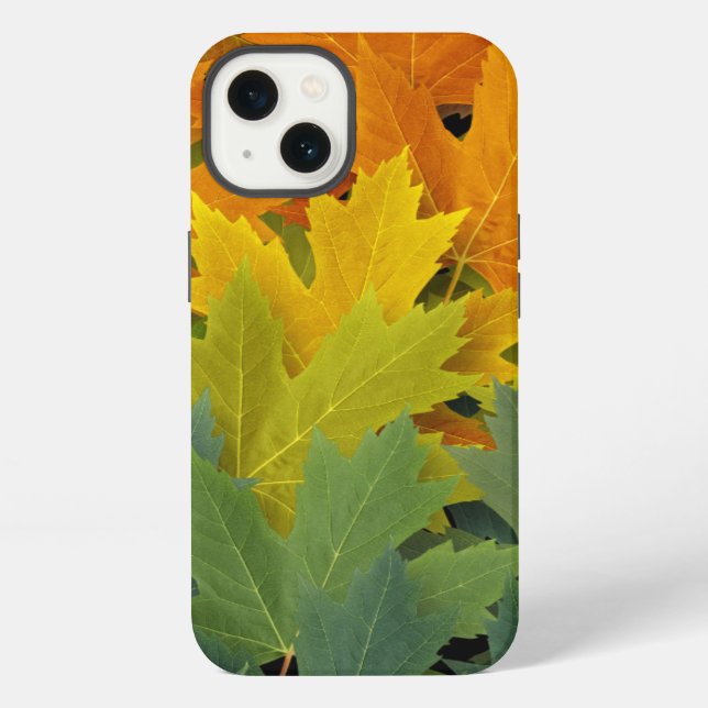 Autumn Pattern 2 iPhone Case (Back)