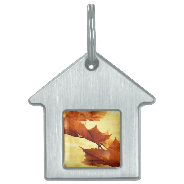 Autumn Pet ID Tag (Front)