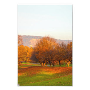Autumn Photo Print