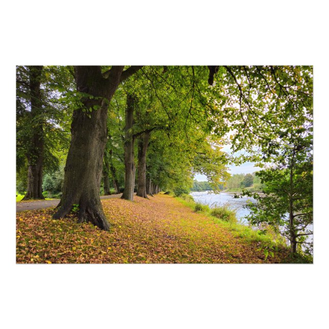 Autumn  photo print (Front)