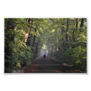 Autumn Photo Print