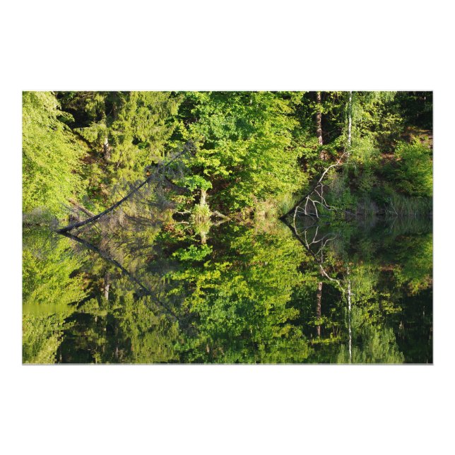 Autumn Photo Print (Front)