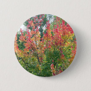 Autumn Pin