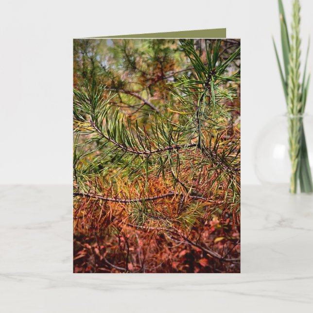 Autumn Pine Needles  Card (Front)