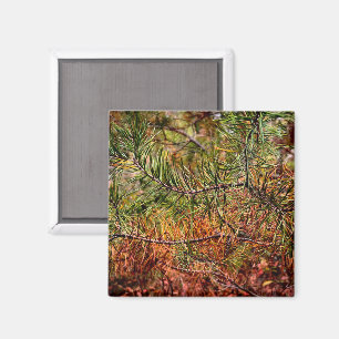 Autumn Pine Needles Magnet
