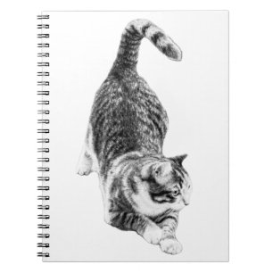 Autumn Plans With a Prowling Cat Notebook