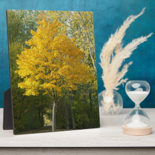 Autumn Plaque