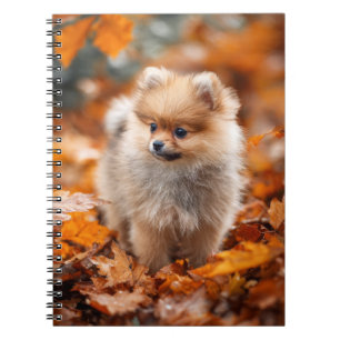Autumn Pomeranian Puppy Spiral Notebook