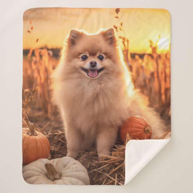 Autumn Pomeranian Sherpa Blanket (Front)