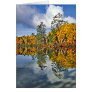 Autumn pond reflections, Maine